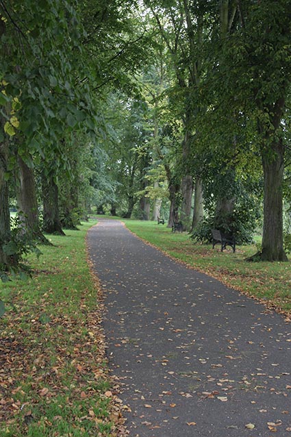 Picture of a path flanked by trees on both sides