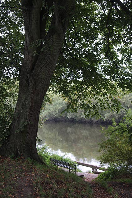 Picture of a bench overlooking the river