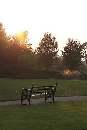 Image of a park bench at sunset