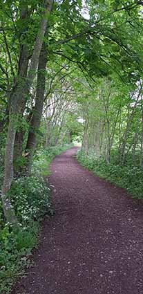 Image of winding path